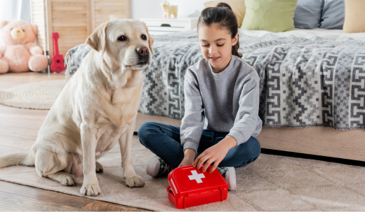 A Dog Owners Guide to Canine First Aid Care