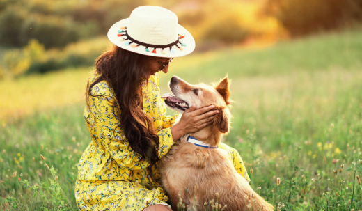 How to Show Your Furry Friend Love and Encouragement