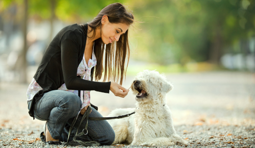 Common Mistakes that Pet Parents Make: How to Avoid Them and Raise a Happy, Healthy Pet