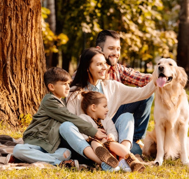 Happy family with kids and Golden Retriever dog enjoying a picnic in the park.