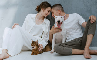 Holistic Pet Care: A Comprehensive Approach to Wellness