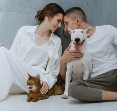 Couple cuddling with Bull Terrier and Abyssinian cat