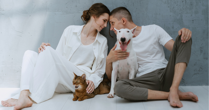 Holistic Pet Care: A Comprehensive Approach to Wellness