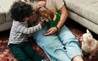 5 Medication Free Ways to Help Your Pets Fight Depression