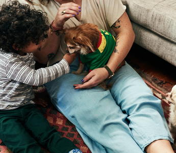 Toddler petting a small dog in a family living room.  