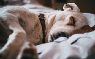 Cherishing Every Moment: A Heartfelt Letter on Love, Loss, and Gratitude