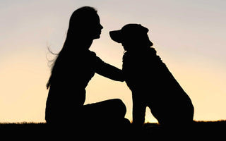 Silhouette of a girl and her dog at sunset.  