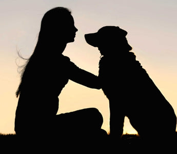 Silhouette of a girl and her dog at sunset.  