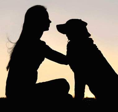 Silhouette of a girl and her dog at sunset.  