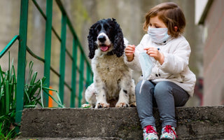 “Living” During A Pandemic: How Does It Affect You And Your Dog?