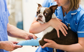 Get Speedy Sports Injury Recovery