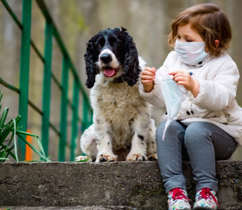 Girl in mask puts mask on her dog on steps