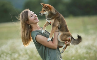 Why Is Adopting a Pet is Better Than Buying?