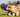 Two Australian Shepherd dogs playing tug-of-war with a blue ball and rope toy in a grassy field.
