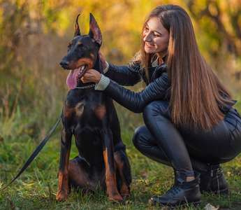 Happy woman petting her Doberman puppy in an autumn park.