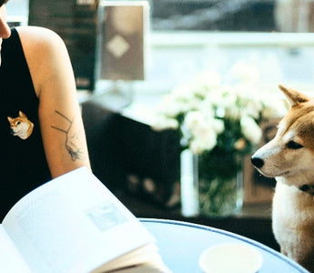 Woman reading book at cafe with Shiba Inu dog