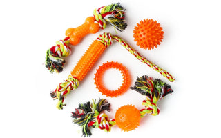 Assortment of orange dog toys: rope, bone, ball, and ring.