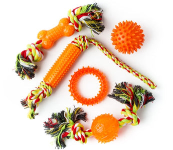 Assortment of orange dog toys: rope, bone, ball, and ring.
