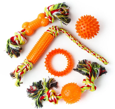 Assortment of orange dog toys: rope, bone, ball, and ring.