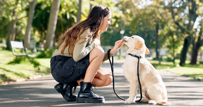 The Truth About Dog Parks: Benefits and Risks for Your Furry Friend
