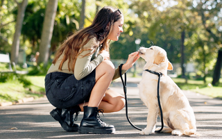 Young woman crouching, giving treat to golden retriever puppy in park.