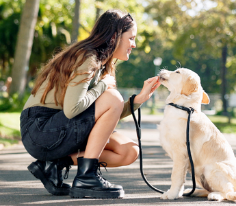 Young woman crouching, giving treat to golden retriever puppy in park.