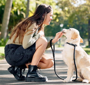 Young woman crouching, giving treat to golden retriever puppy in park.