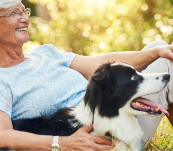 Happy senior woman relaxing outdoors with her border collie dog.