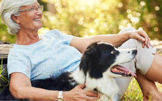 How to Supercharge Your Pet’s Immunity with NYP?