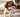 Happy Springer Spaniel puppy panting indoors