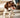 Happy Springer Spaniel puppy panting indoors
