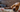 Relaxed Brittany Spaniel dog resting on floral couch
