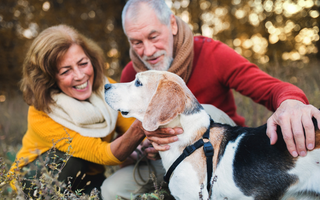 NURTURING A BOND OF WELLNESS – Senior Adults and Pets