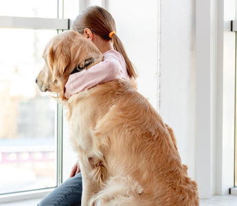 Can Dogs Help You Cope With Your Grief?