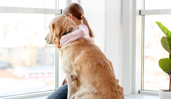 Can Dogs Help You Cope With Your Grief?