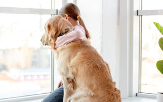 Girl hugs Golden Retriever, looking out window