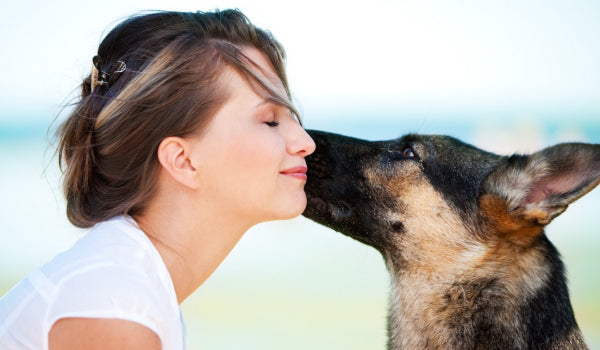 Can a Dog Sense Human Emotions ?