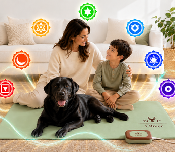 Pet Wellness and Chakra Healing with NYP Oliver