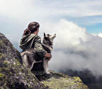 Woman sits on a mountaintop with her Siberian Husky, gazing at a cloudy vista.