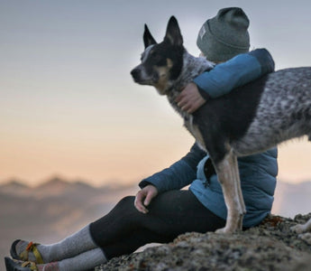 Woman hugs her Australian Cattle Dog at sunset.