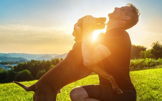 Man laughing joyfully as his dog playfully jumps on him during sunset.