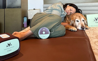 Which PEMF Machine Is Best for Your Pet?