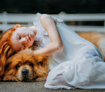 Dreams and Connections: A Journey of Healing