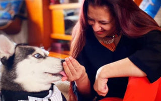 Woman petting her Siberian Husky dog wearing a tuxedo