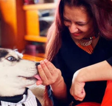 Woman petting her Siberian Husky dog wearing a tuxedo
