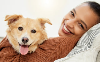 Ensuring Your Pet's Well-Being: A Comprehensive Guide to Health and Happiness