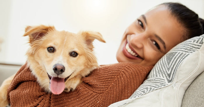 Ensuring Your Pet's Well-Being: A Comprehensive Guide to Health and Happiness