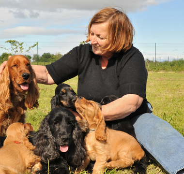 Finding Peace After a Pet's Sudden Loss