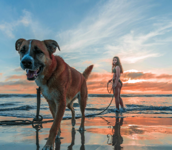 A Message of Love and Connection Beyond Loss