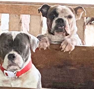 Bailey & Aubrey: Michael Calara’s Joyful Journey